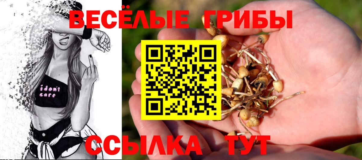 Белая Калитва  Псилоцибиновые грибы Psilocybe  купить закладку  Вход с VPN  Псилоцибиновые грибы MAGIC MUSHROOMS 