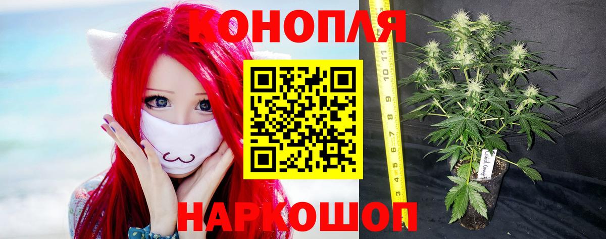 Каннабис марихуана  Вход с VPN  Шишки марихуана Amnesia  Каннабис THC 21%  Белая Калитва 